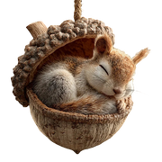 Fanyil Acorn Dreams