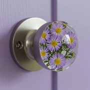 Ribili NatureNest Crystal Knob